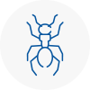 Ant Removals In East Stour