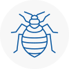 Bed Bug Extermination In East Stour