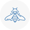 Bee Nest Removal East Stour