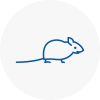 Mice Exterminators In East Stour