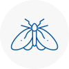 Moth Control Specialists In East Stour