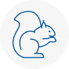 East Stour Rodent Removals